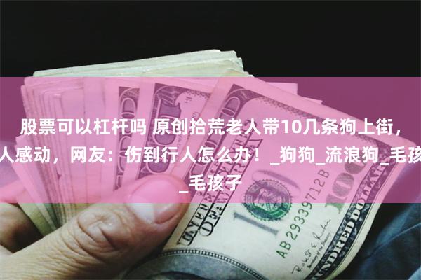 股票可以杠杆吗 原创拾荒老人带10几条狗上街，令人感动，网友：伤到行人怎么办！_狗狗_流浪狗_毛孩子