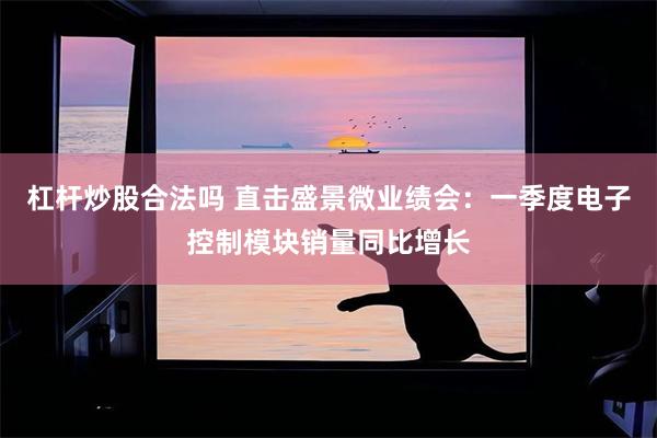 杠杆炒股合法吗 直击盛景微业绩会：一季度电子控制模块销量同比增长