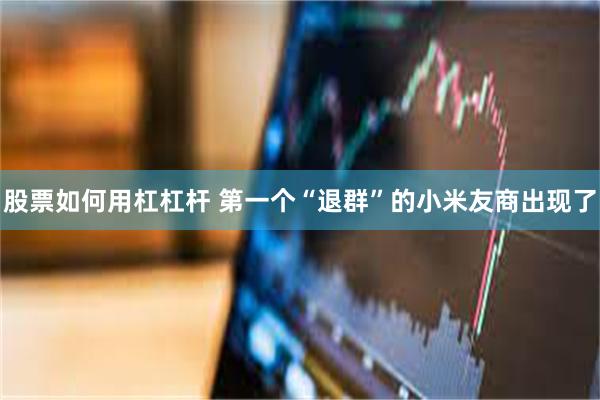 股票如何用杠杠杆 第一个“退群”的小米友商出现了