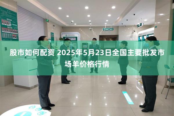 股市如何配资 2025年5月23日全国主要批发市场羊价格行情