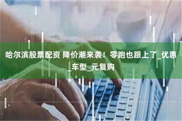 哈尔滨股票配资 降价潮来袭！零跑也跟上了_优惠_车型_元复购